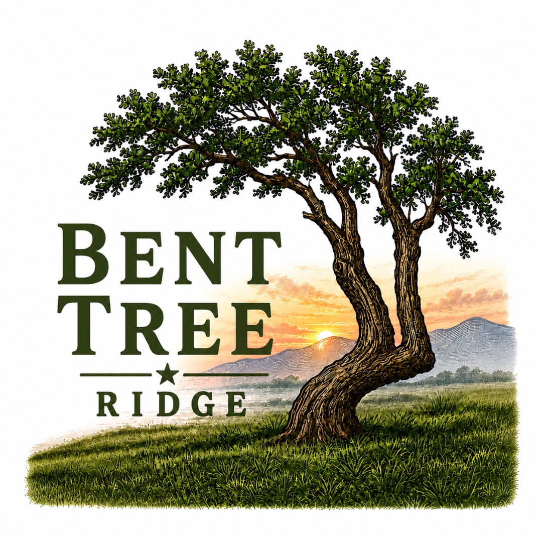 Bent Tree Ridge illustrated wordmark with a lone bent oak against a Texas sunset.